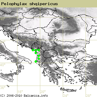 Pelophylax shqipericus, obsazené kvadráty podle mapování Balcanica.info