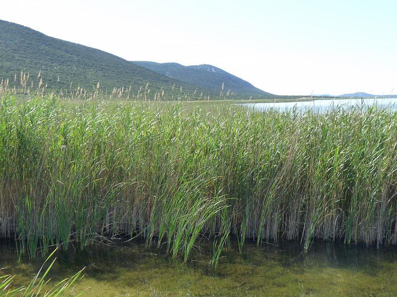 Vransko Jezero, Lago di Vrana, Vranjsko Jezero